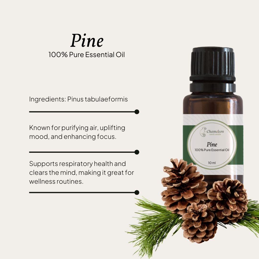 Christmas Combo - 5 x Pure Essential Oils ∙ 10ml - Chameleon Sand Candle