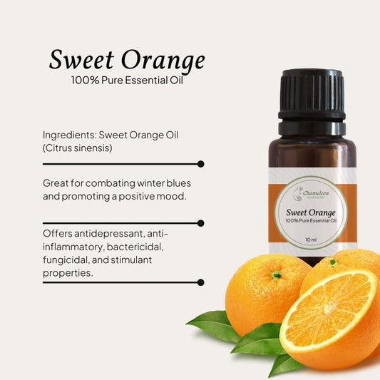 Christmas Combo - 5 x Pure Essential Oils ∙ 10ml - Chameleon Sand Candle